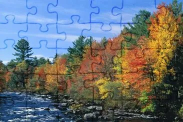 RIOS jigsaw puzzle