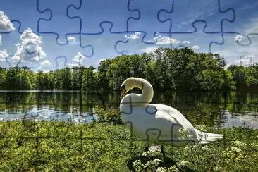 RIOS jigsaw puzzle