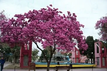 En Santiago del Estero. Argentina