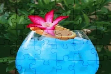 imagens jigsaw puzzle