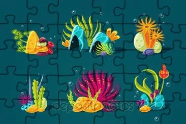 coral jigsaw puzzle