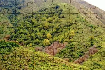 Hualinchay. TucumÃ¡n. Argentina jigsaw puzzle