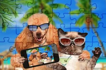 Fotos graciosas jigsaw puzzle