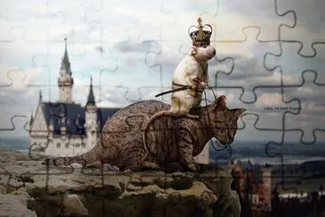 Fotos graciosas jigsaw puzzle