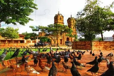 Las palomas en el parque