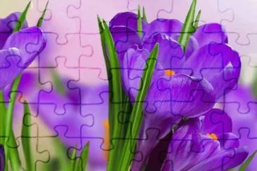 imagens jigsaw puzzle