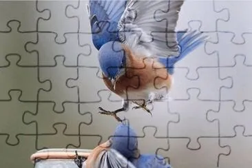 imagens jigsaw puzzle