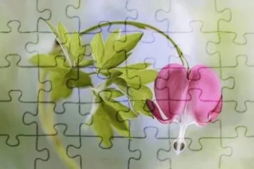 imagens jigsaw puzzle