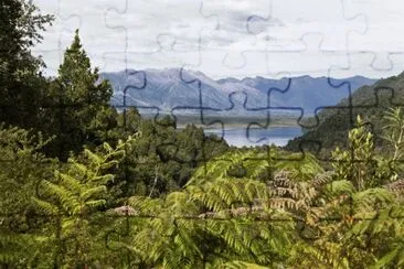 Pumalin Park, Chile jigsaw puzzle