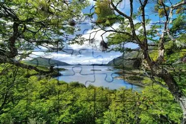 Lapataia. Tierra del Fuego. Argentina jigsaw puzzle