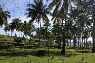 Anakena, isla de pascua