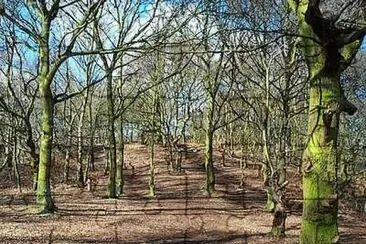 Stapleford Hill jigsaw puzzle