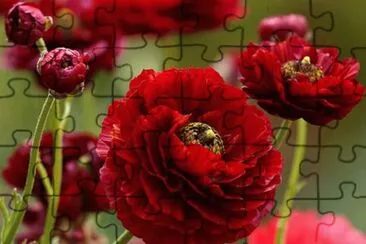 imagens jigsaw puzzle