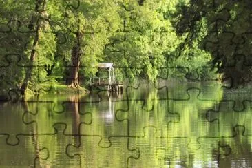 En el Delta. Buenos Aires. Argentina