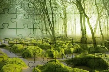 Bosque Musgo de Pantano, Rumania jigsaw puzzle