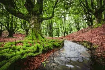 Bosque Otzarreta, EspaÃ±a jigsaw puzzle