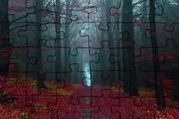 Bosque Selva Negra, Alemania jigsaw puzzle