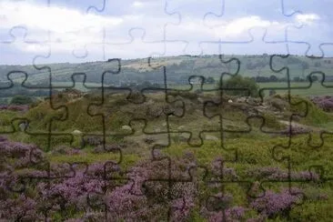 Bosque Stanton Moor, Reino Unido jigsaw puzzle