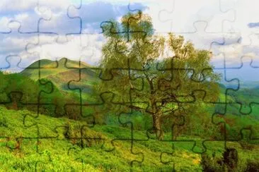 imagens jigsaw puzzle