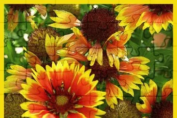 Flors jigsaw puzzle