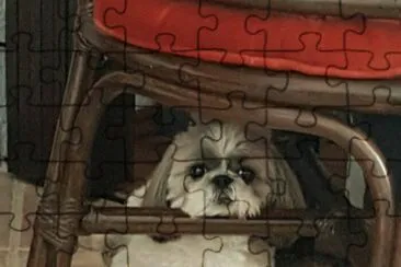 Perrito jigsaw puzzle