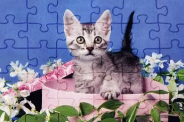 Gatet jigsaw puzzle