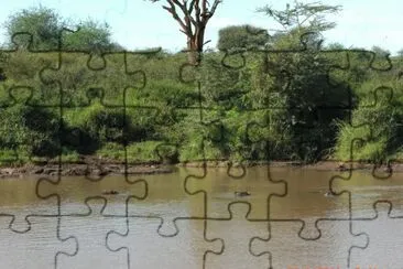 IPPOPOTAMI jigsaw puzzle