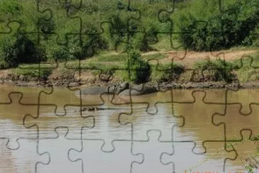 IPPOPOTAMI jigsaw puzzle