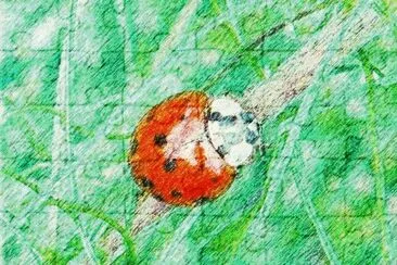 Lady bug3 (photo edited) jigsaw puzzle