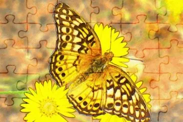 Butterfly3 (photo edited) jigsaw puzzle