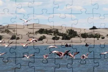 Caleta en la Provincia de RÃ­o Negro. Argentina jigsaw puzzle