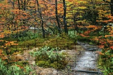 פאזל של PN Tierra del Fuego. Argentina