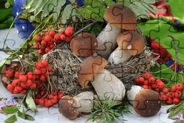 פאזל של Mushrooms_nature_Berry_