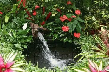 Fuente flores en Aibonito