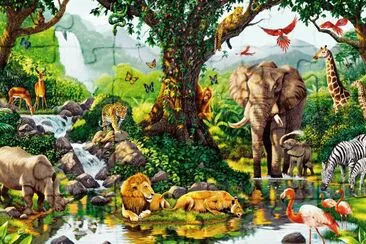 selva jigsaw puzzle