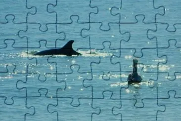 Fort Desoto Beach jigsaw puzzle