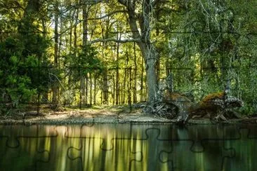 פאזל של Paraje PucarÃ¡. NeuquÃ©n. Argentina