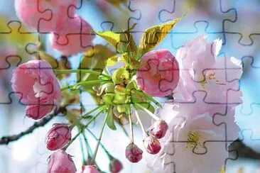 imagens jigsaw puzzle