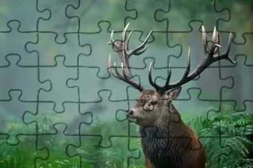 fave jigsaw puzzle