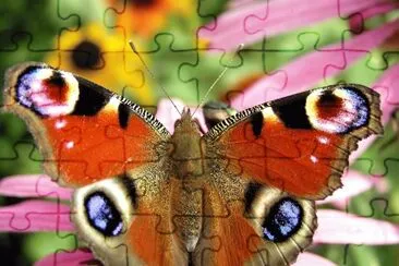 Mariposa jigsaw puzzle