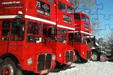 פאזל של London Buses in New Zealand