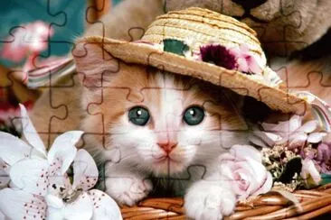 Gatito jigsaw puzzle