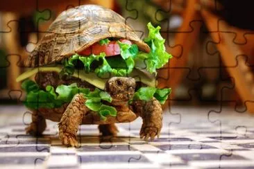 Tortuga-Hamburgesa jigsaw puzzle