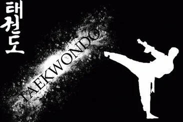 Taekwondo