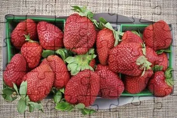 Fresas