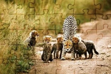 mom#243 jigsaw puzzle