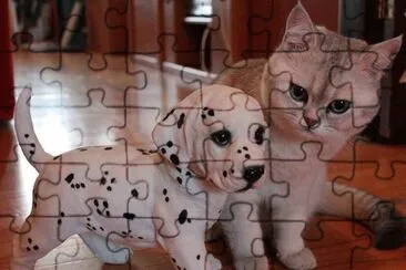 imagens jigsaw puzzle