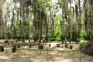 Parque Galleneral en san gil