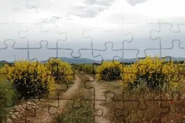 primavera jigsaw puzzle