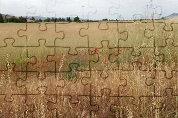 paisaje jigsaw puzzle